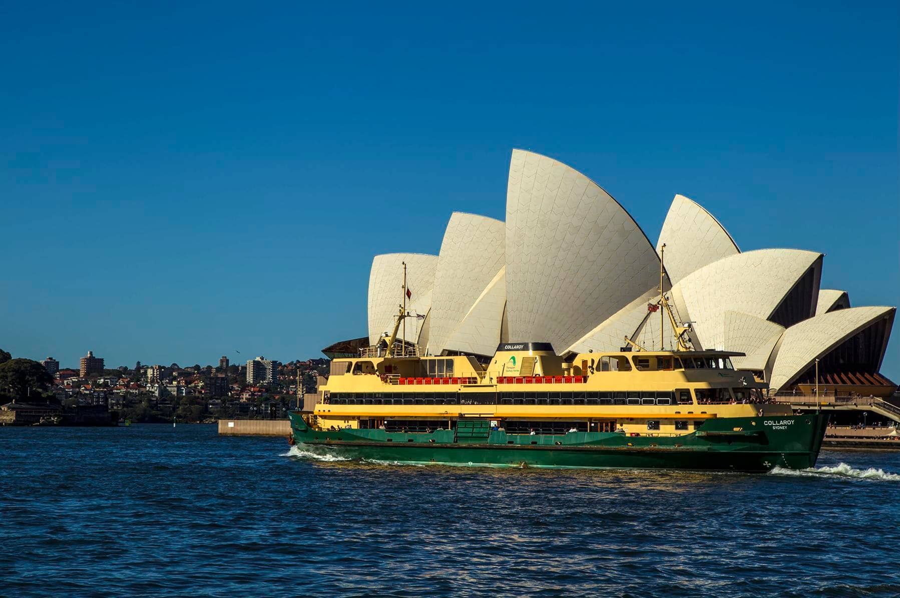 Manly Ferry Ride