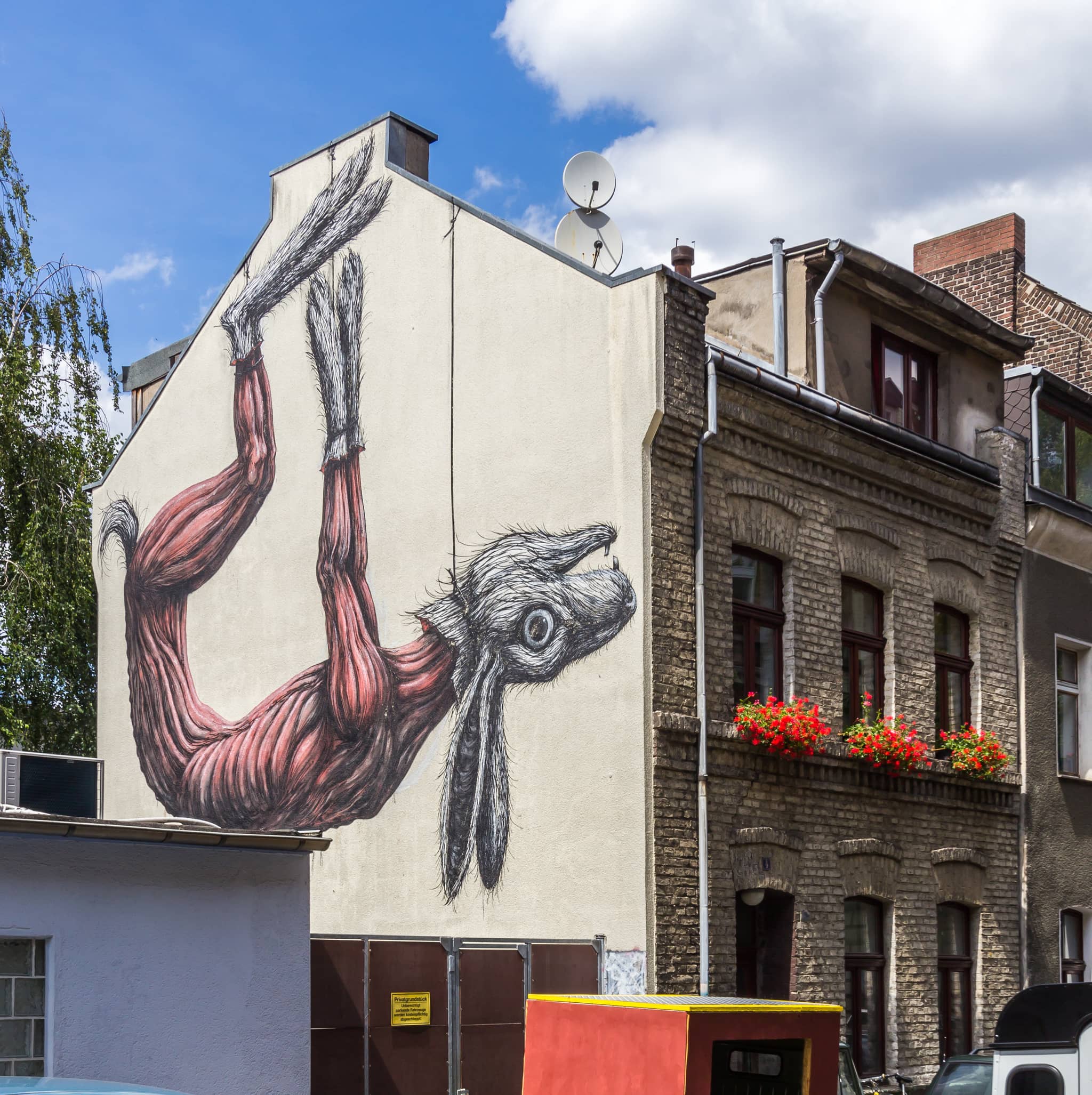Street Art & Murals
