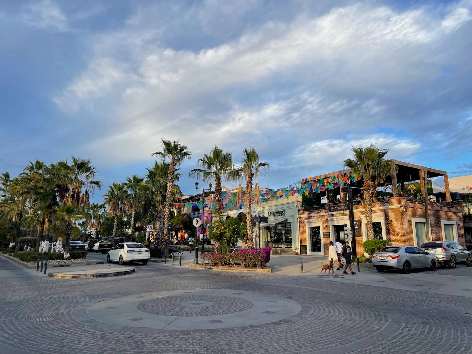 Palm-Lined Promenade