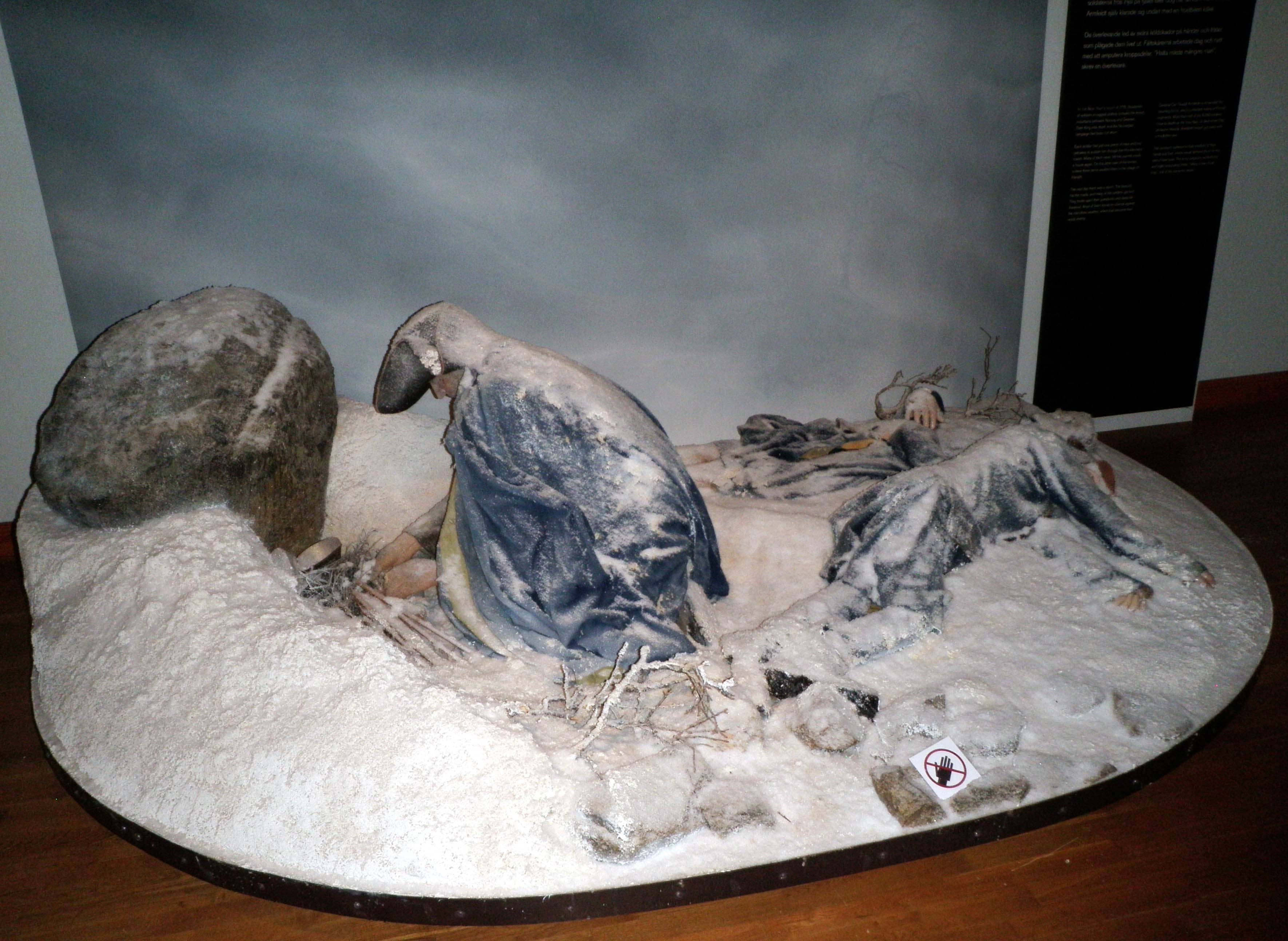 Interactive Experience Zones