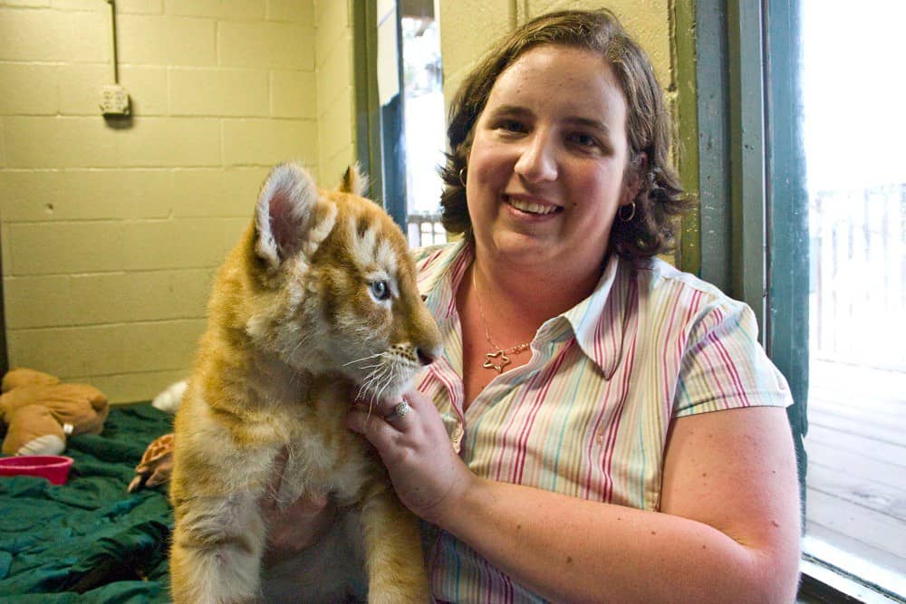 Baby Animal Encounters