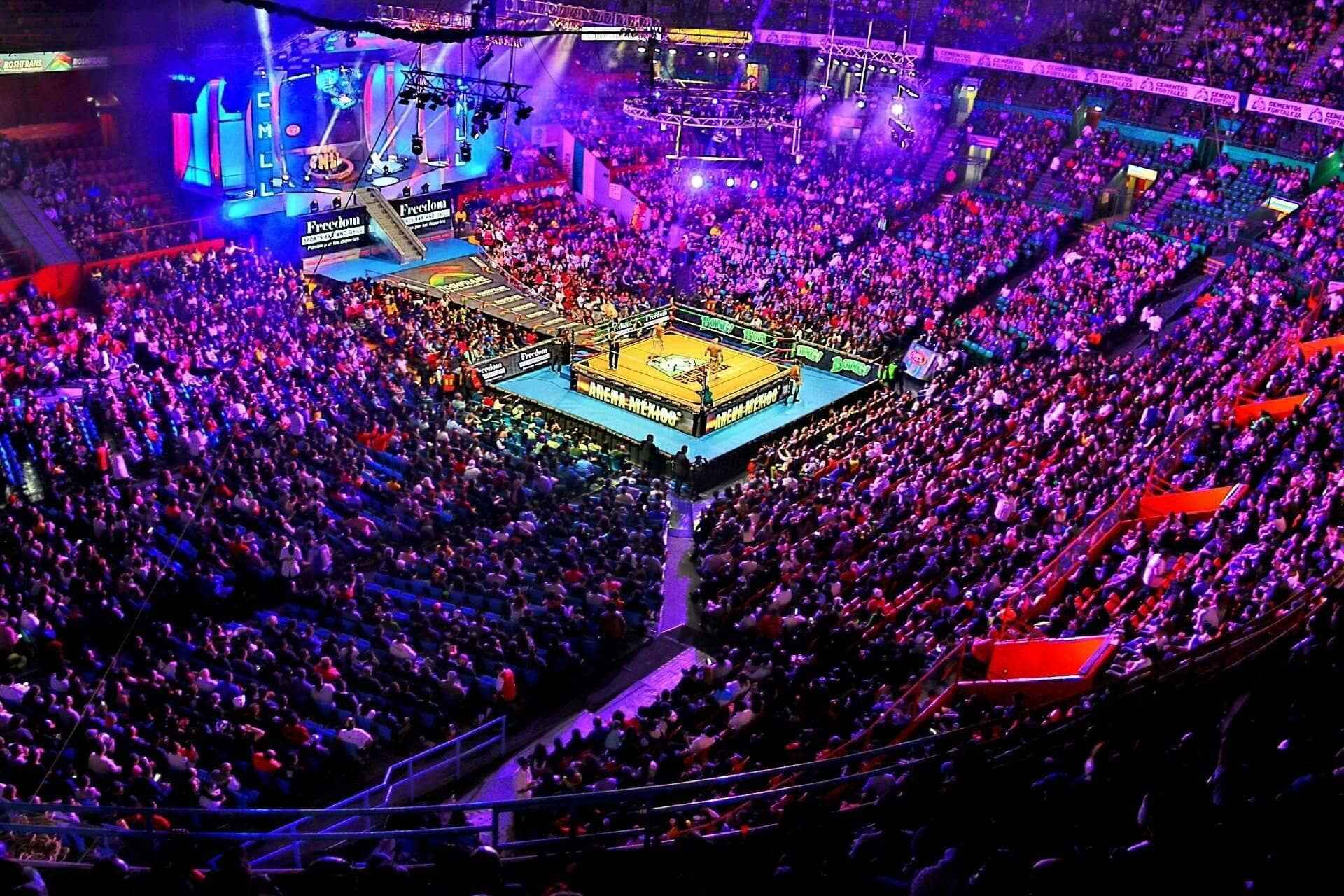 Entertainment Hub