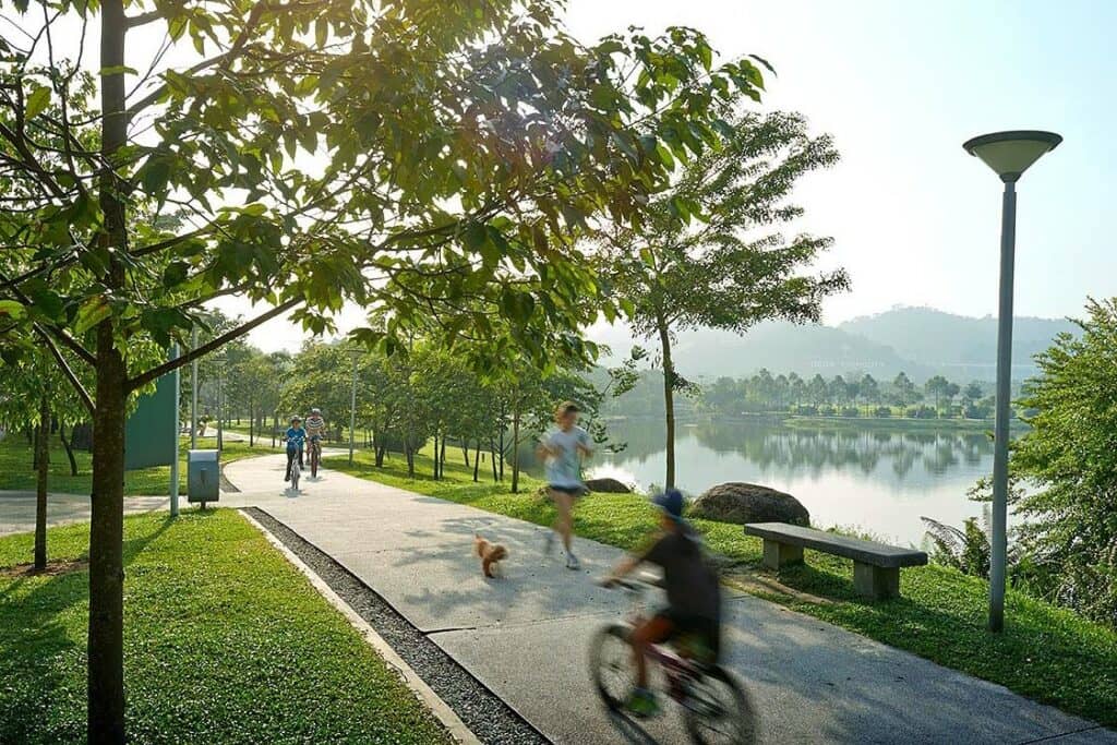 Dog Park
