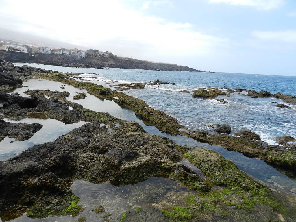 Relaxing Seawater Pool