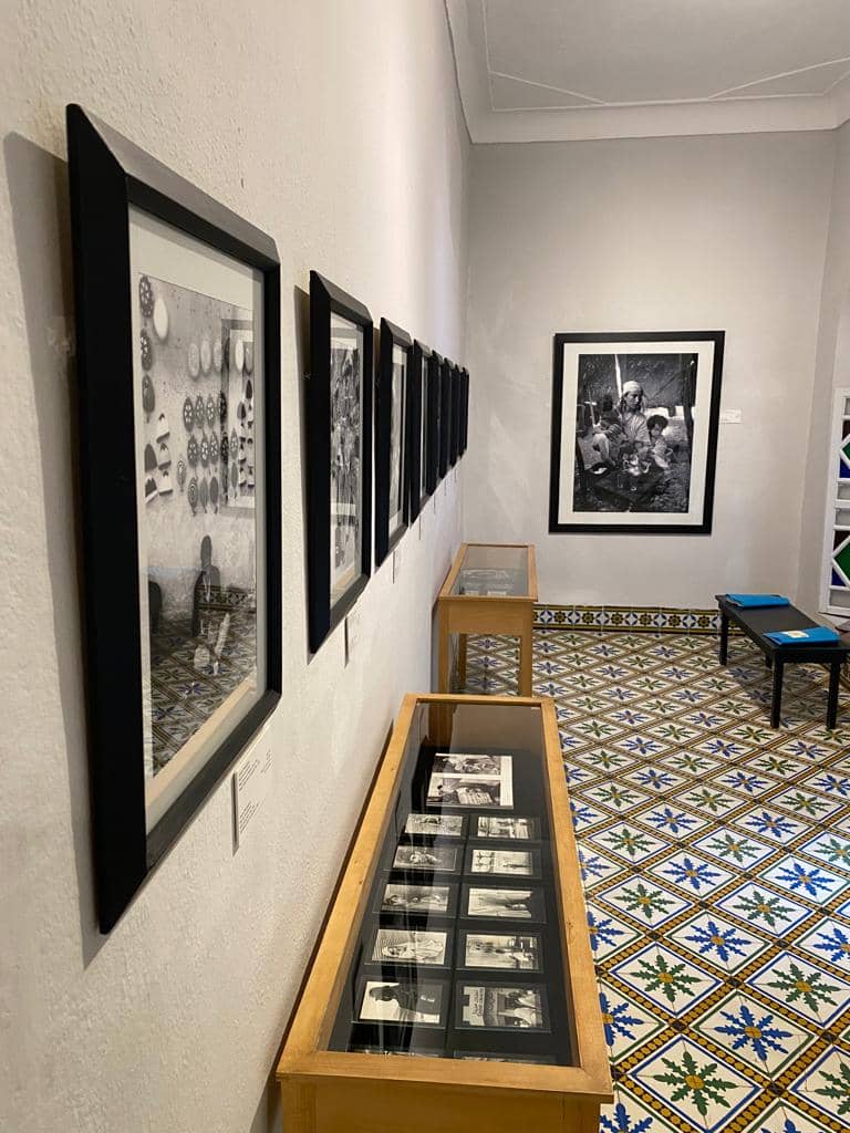 Diverse Photography Shows