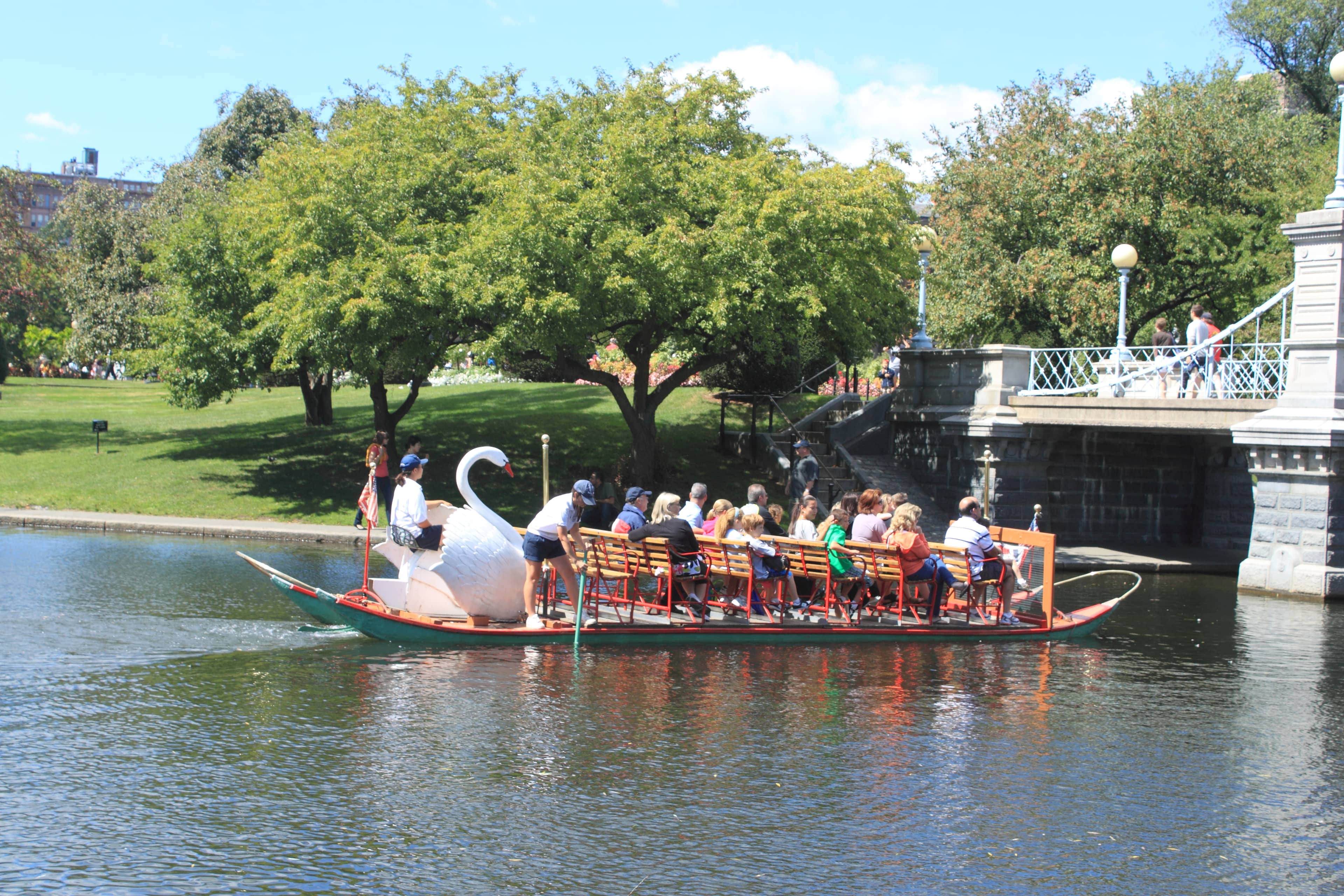 Swan Boats in Public Garden