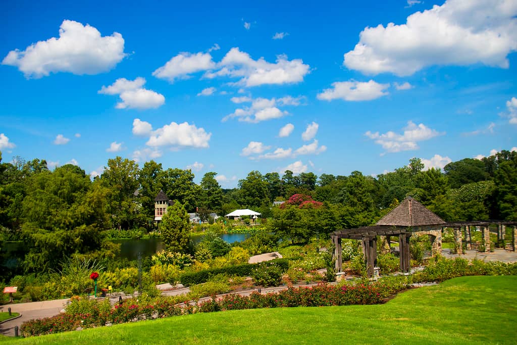 Rose Garden