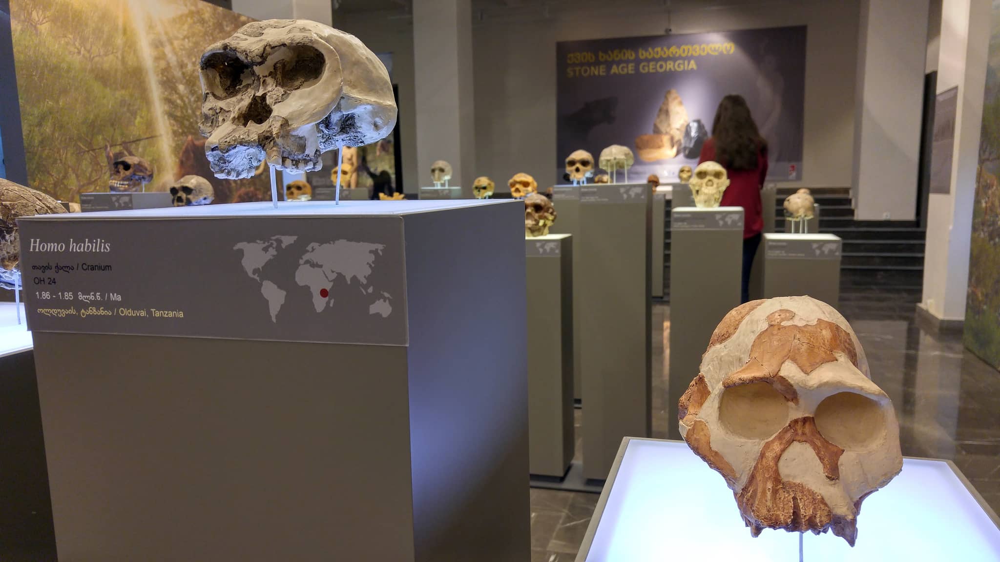 Stone Age Macabre