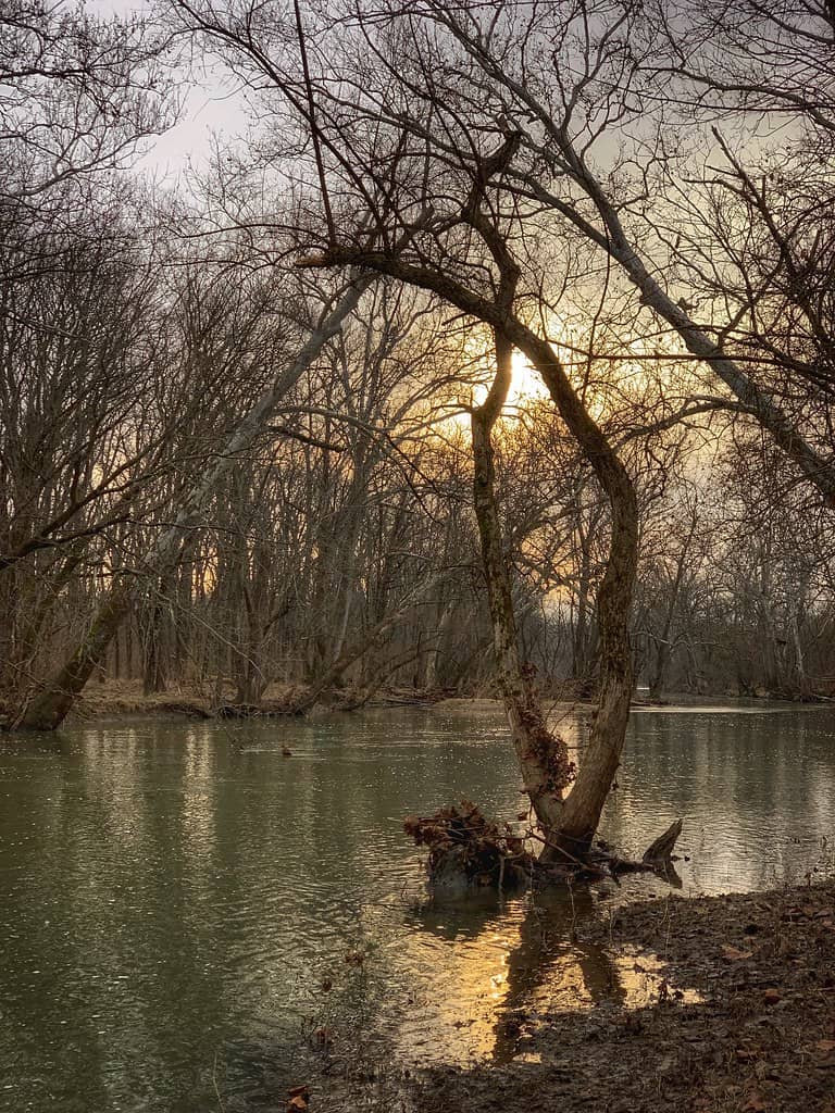 Extensive Trail Network