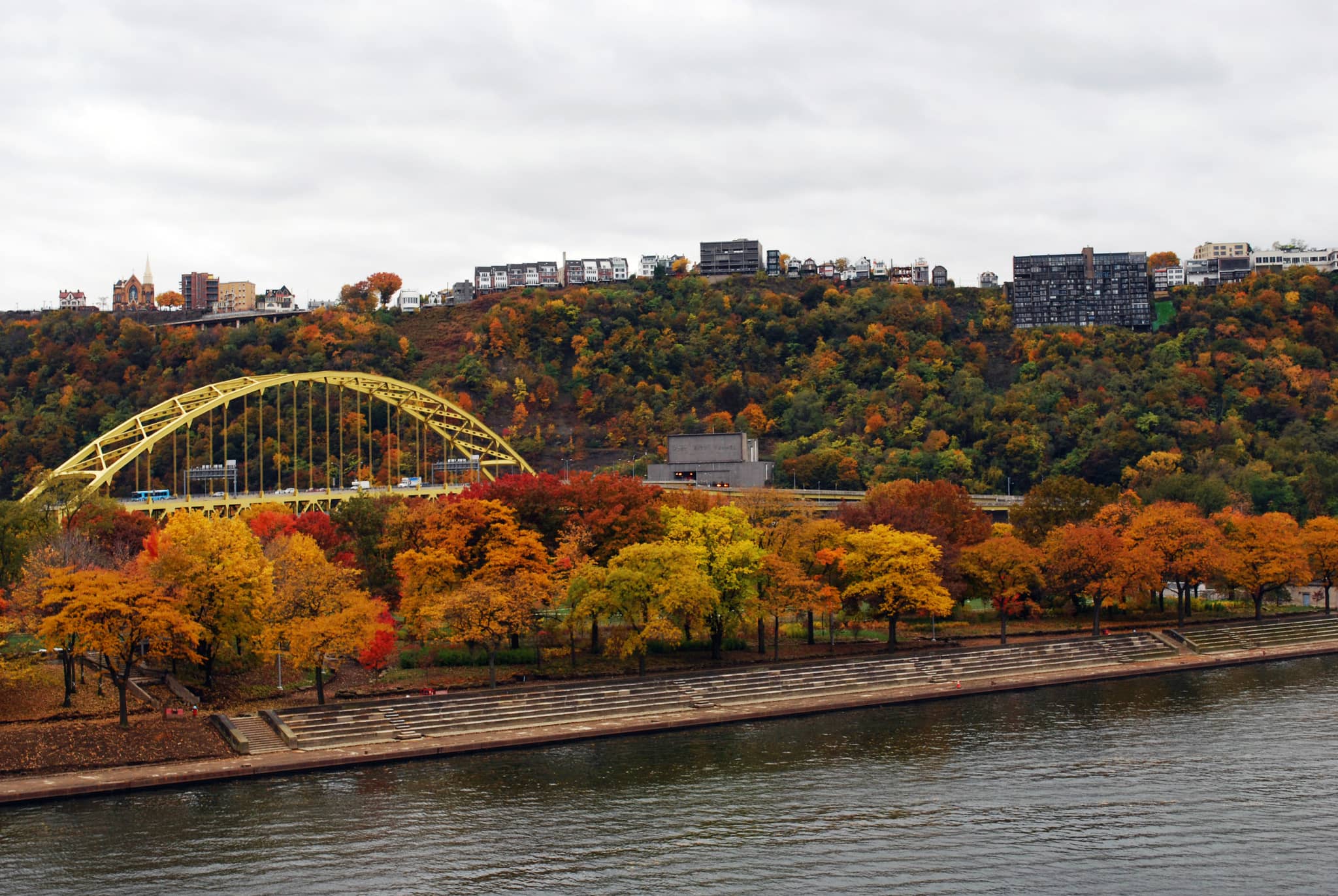 Surrounding Park Views