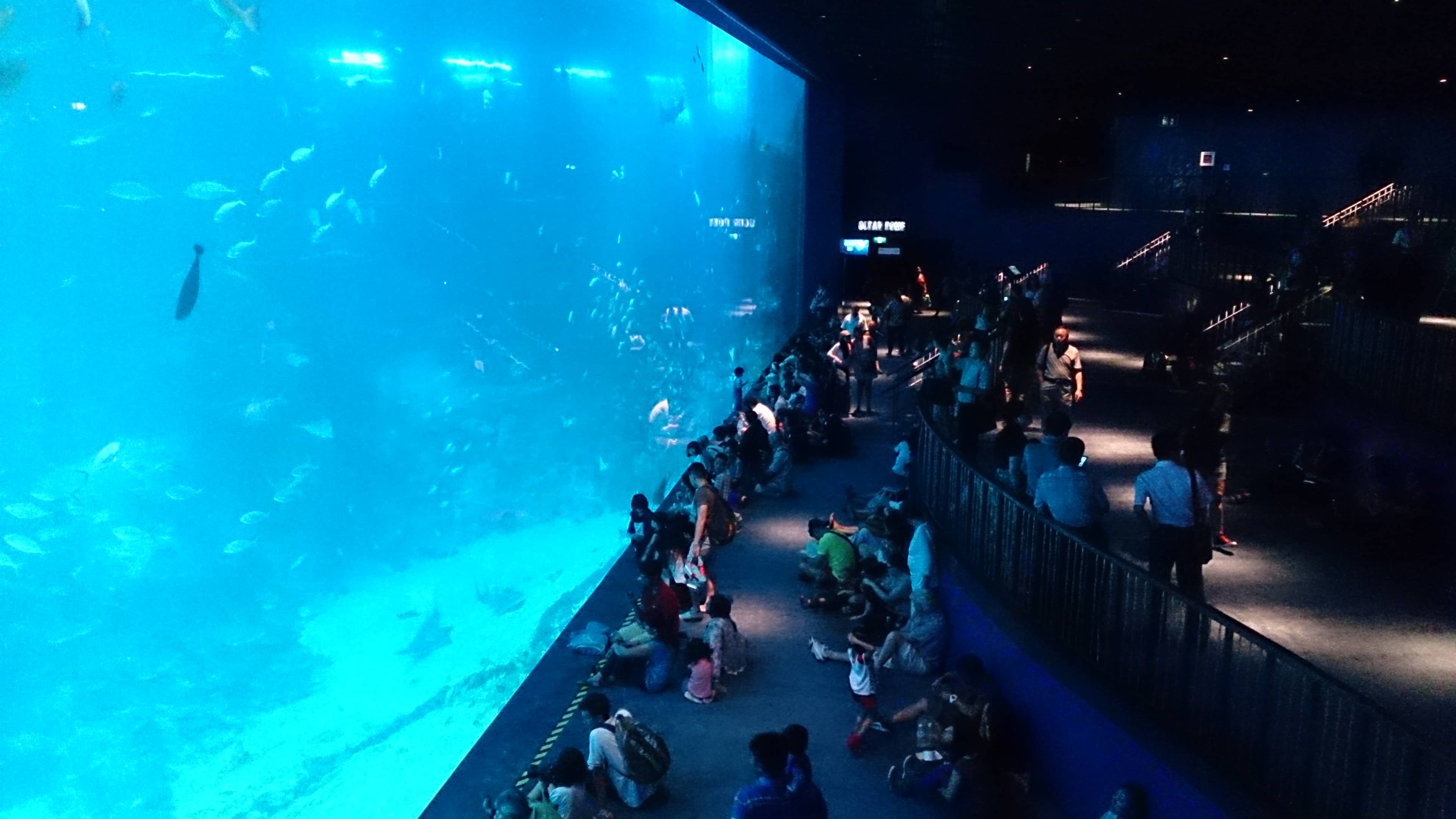 S.E.A. Aquarium