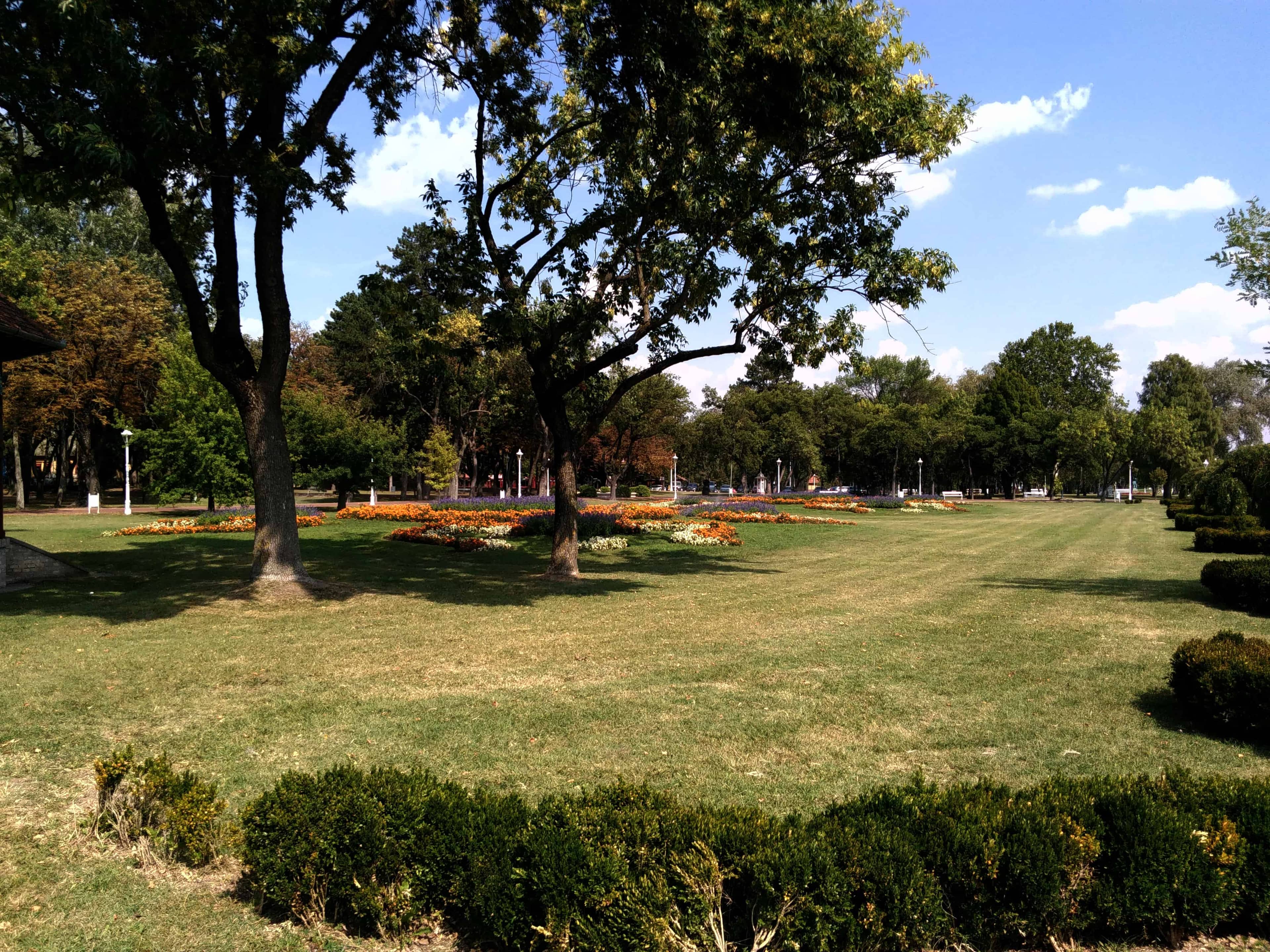 Expansive Lawns & Trees