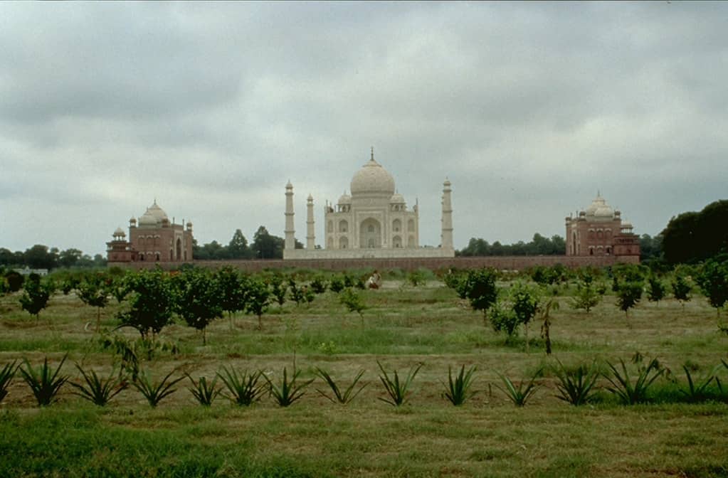 The Black Taj Legend