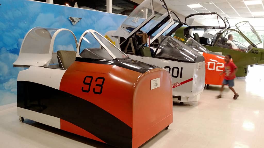 Immersive Flight Simulators