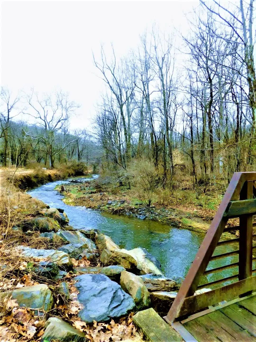 Finch Creek