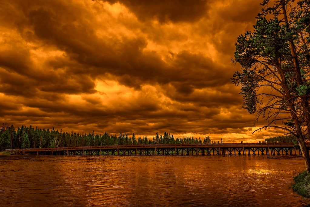 Fishing Bridge Visitor Center
