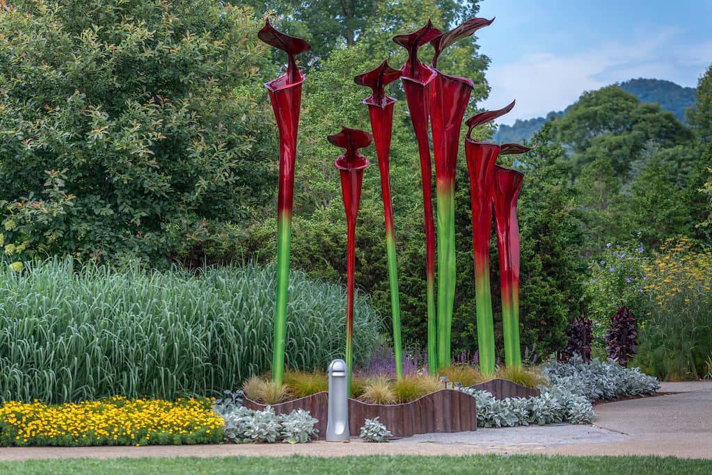 Meandering Creek Trail