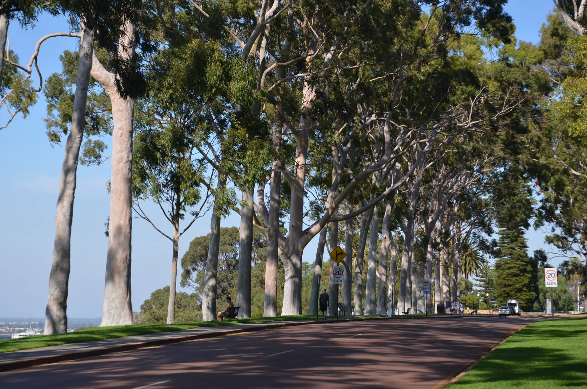 Fraser Avenue