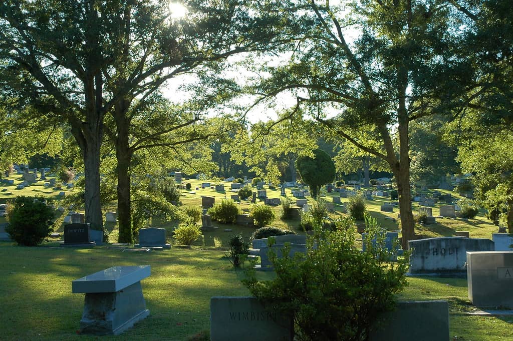 Unique Art & Decorations