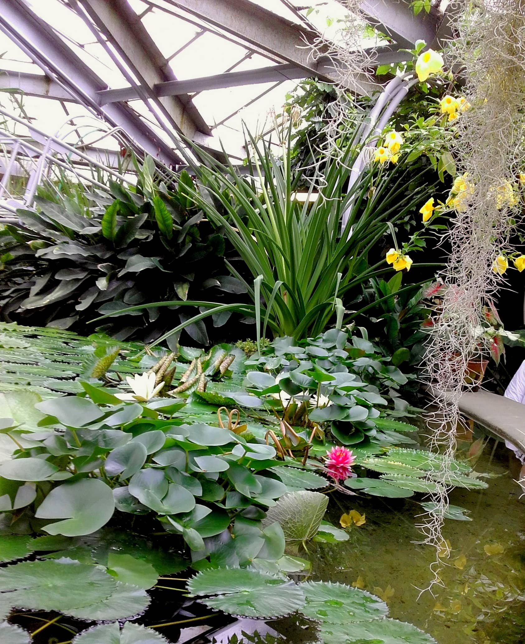 Diverse Ecosystem Greenhouses