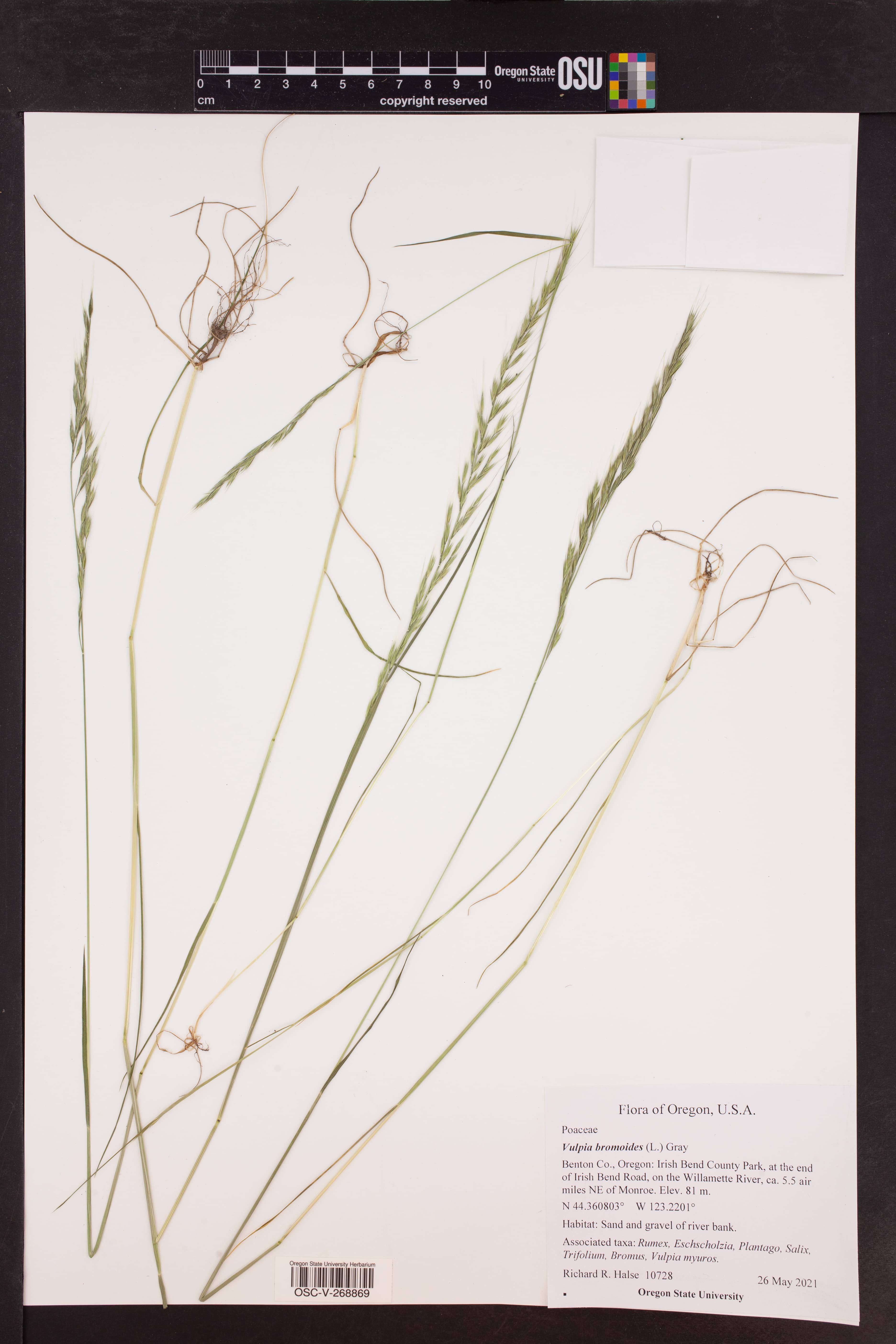 Cultural Centre Gardens