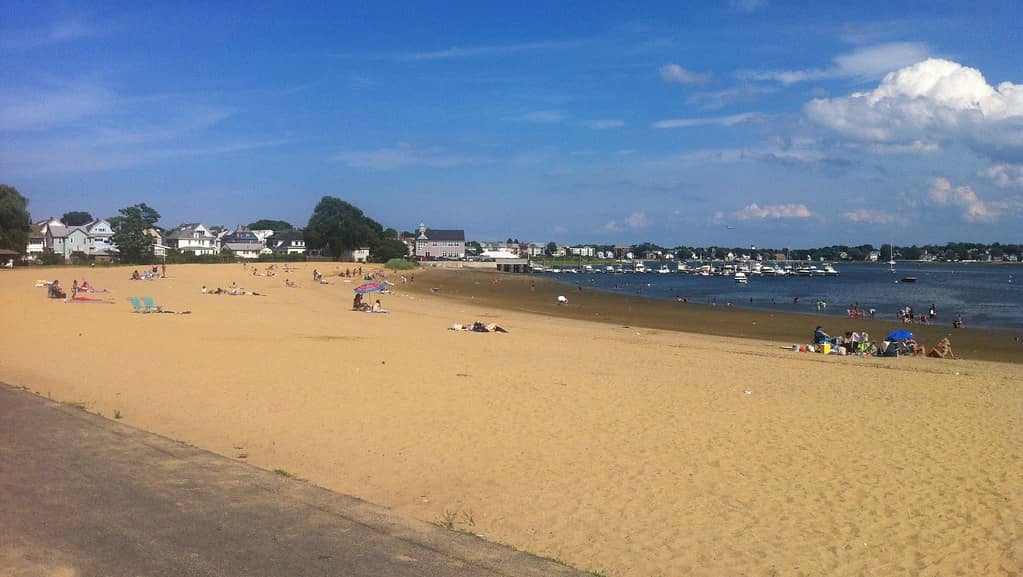 Harbor Breezes & City Views