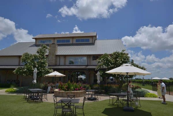 Vineyard Walks & Tours