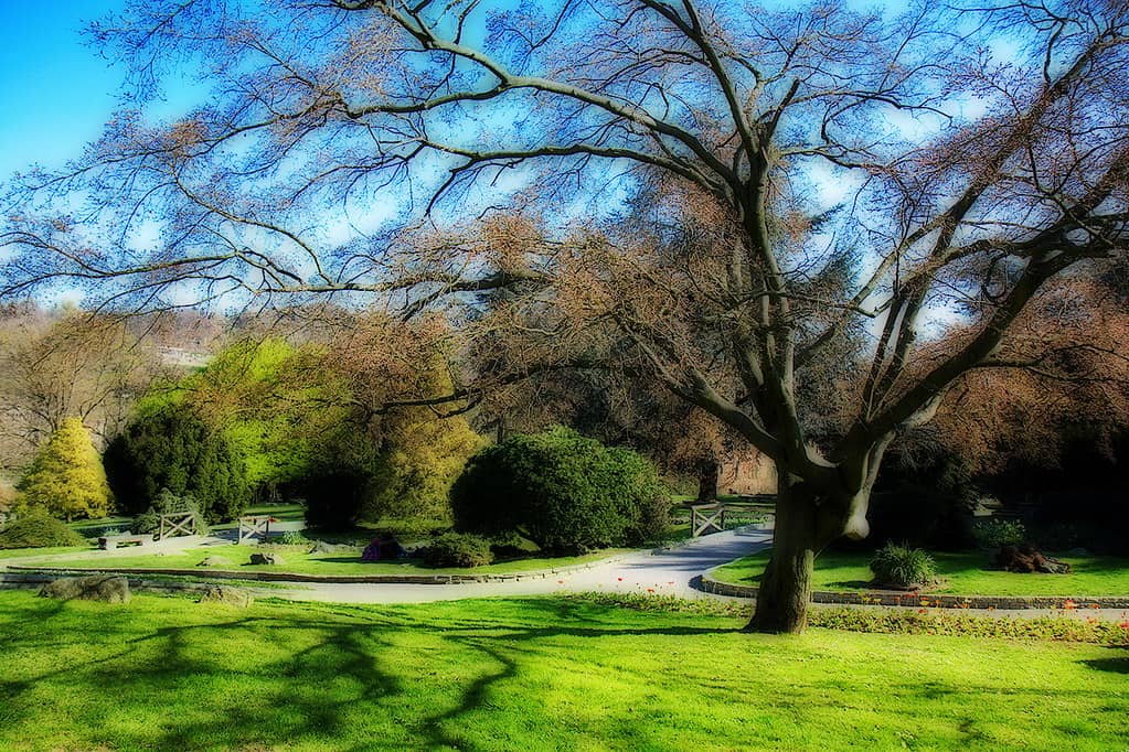 Parco del Valentino Views