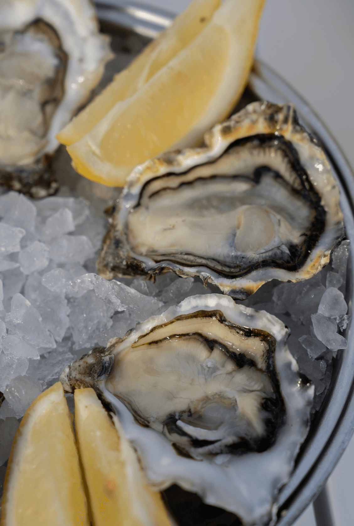 Freshly Shucked Oysters