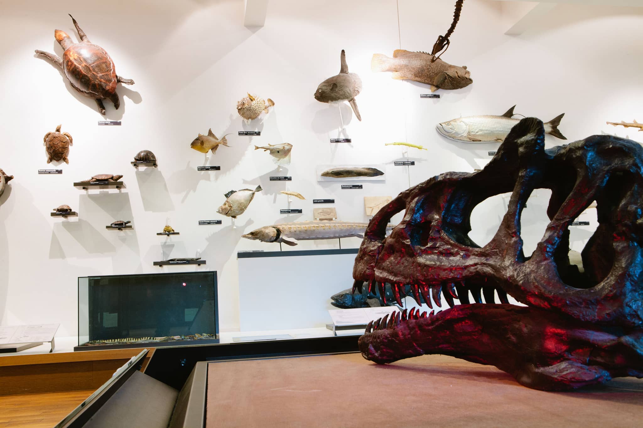 Temporary Exhibitions