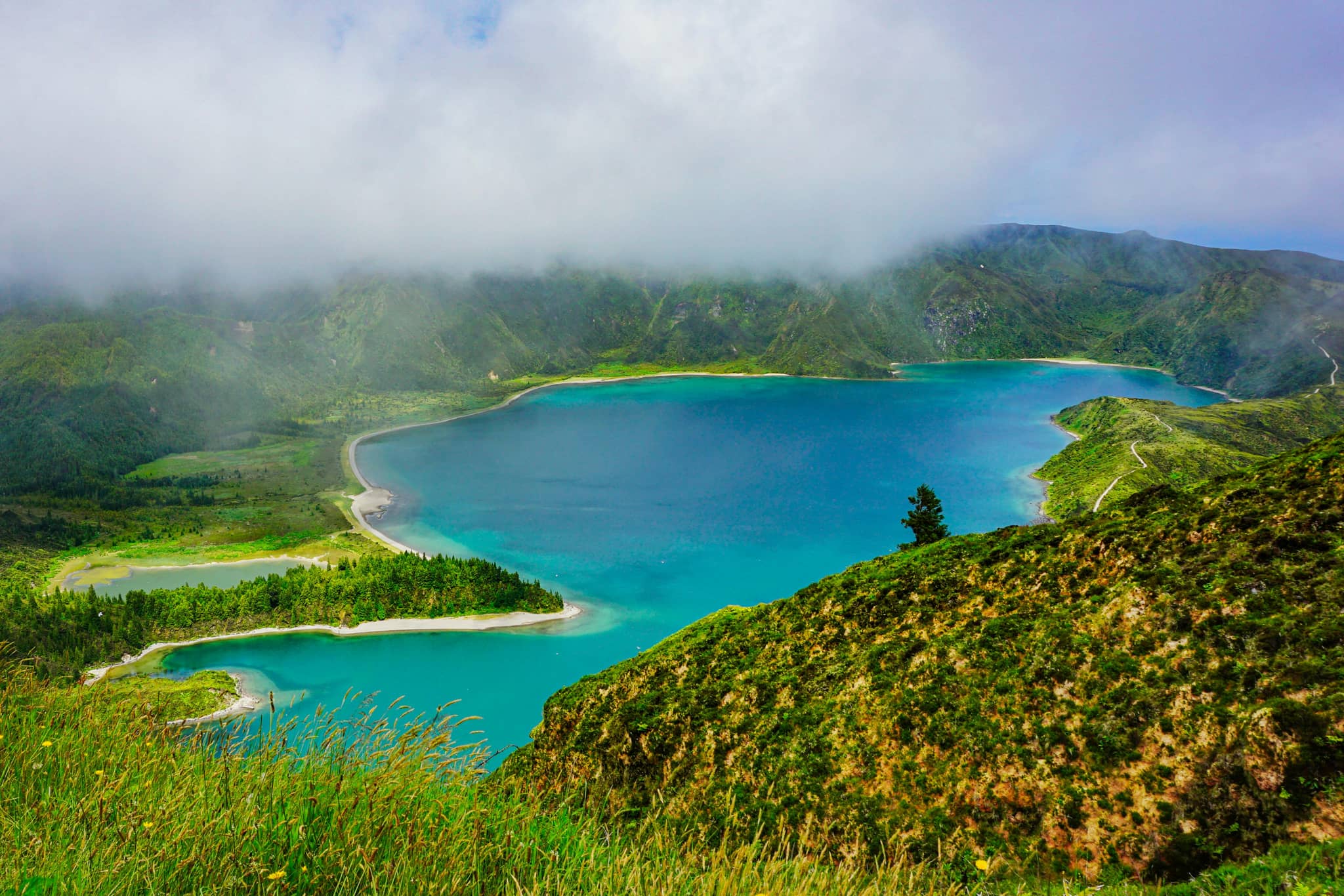 Hike to the Lake Shore