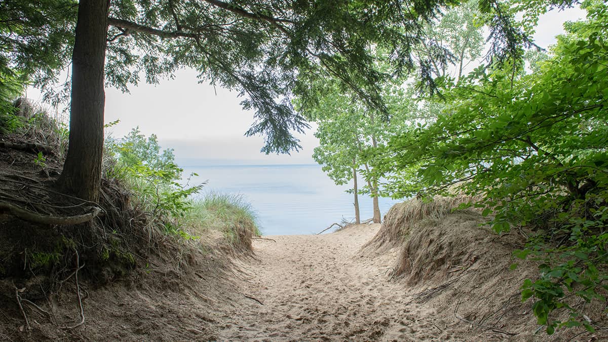 Walking Paths