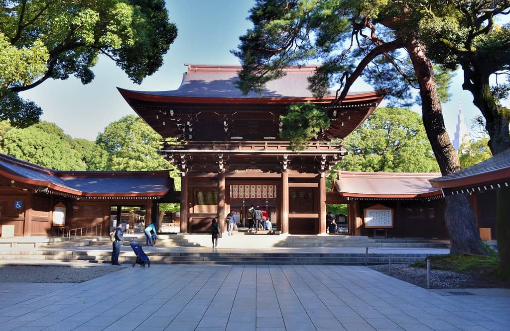 Peaceful Forest Setting