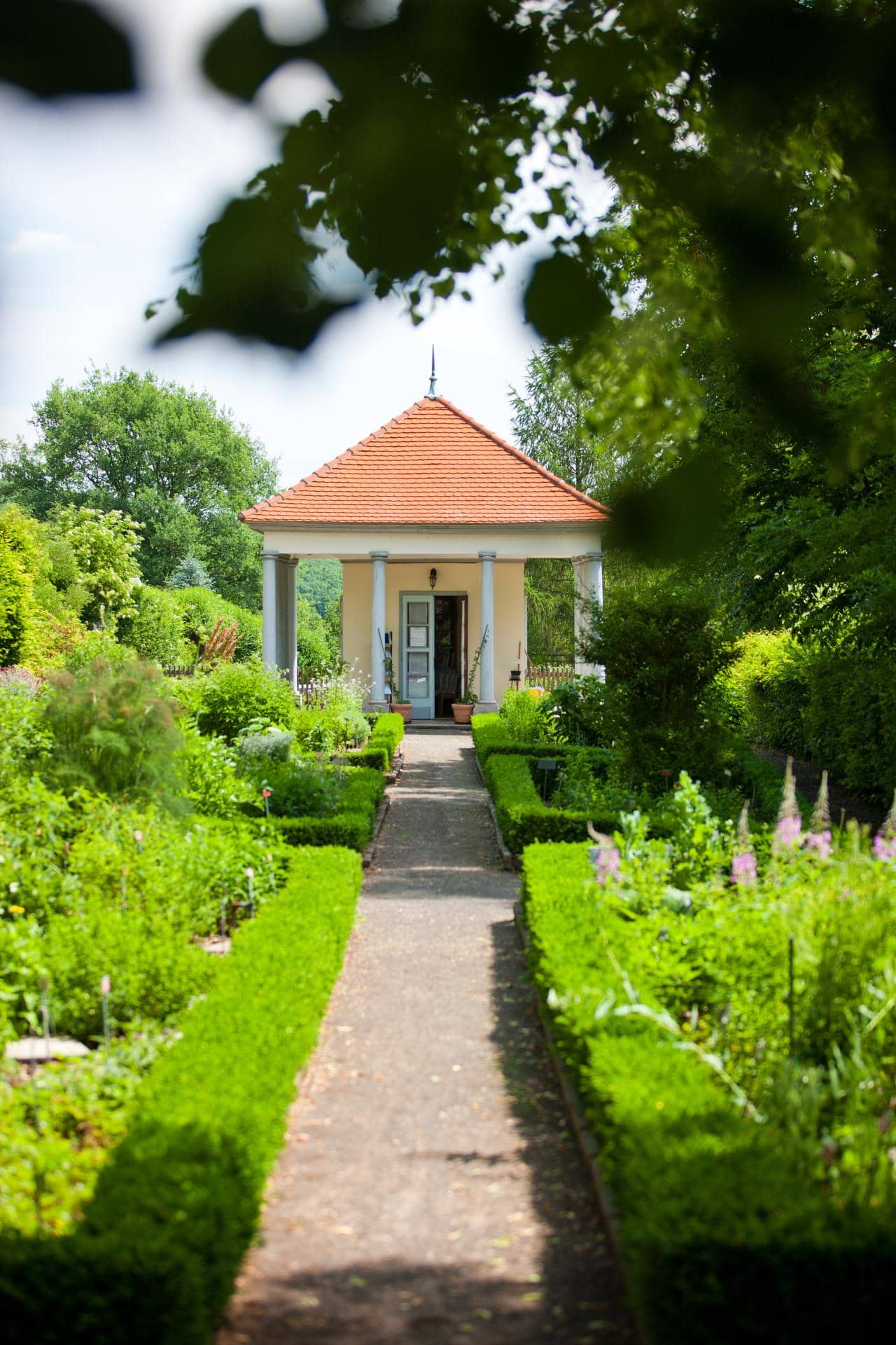 The Medicinal Herb Collection