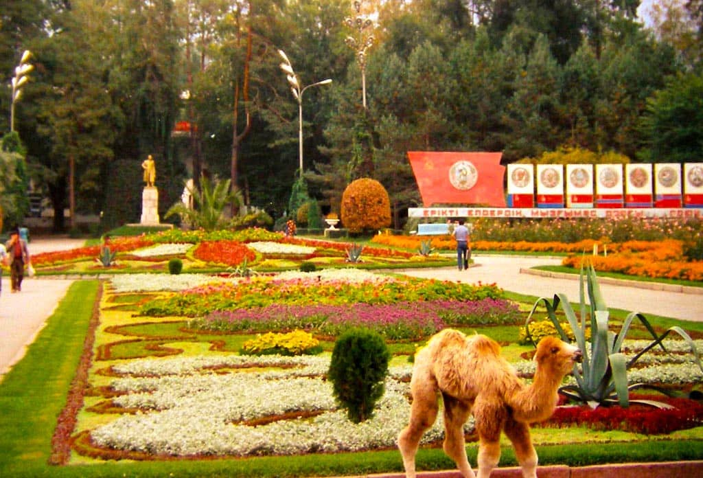 Lush Greenery and Walking Paths