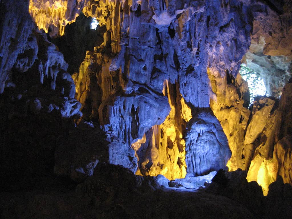 Illuminated Natural Sculptures