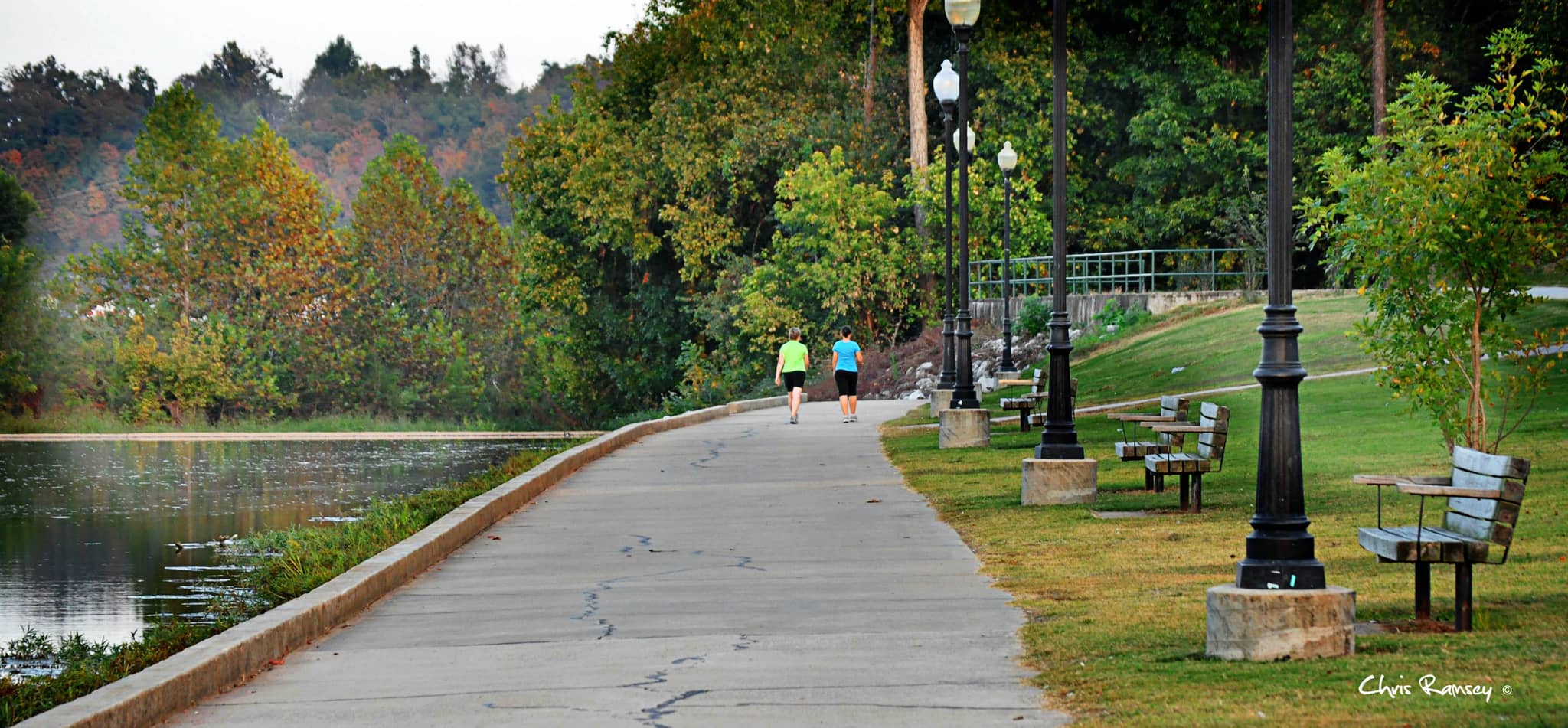Scenic Lakeside Walks