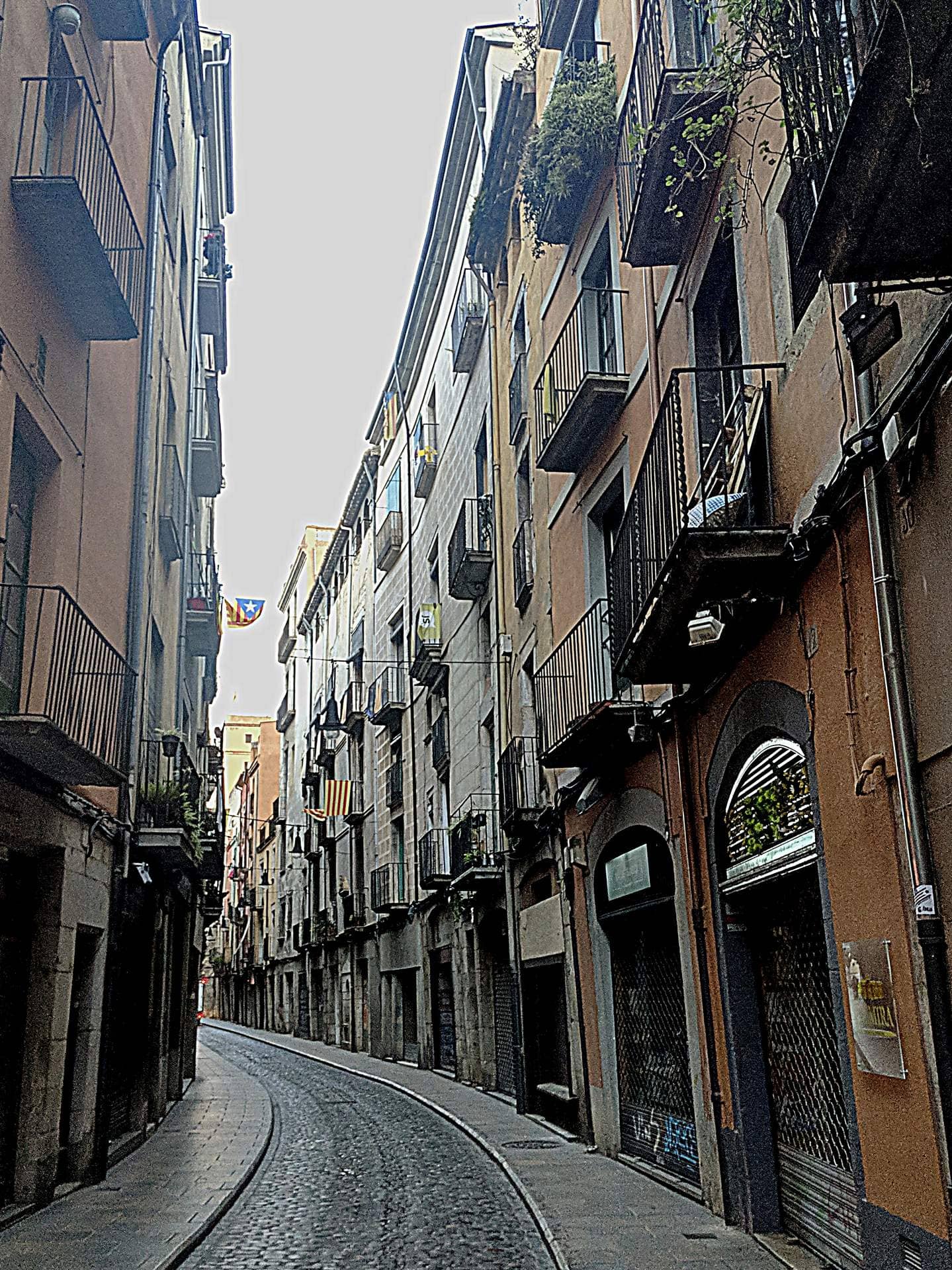 The Cobbled Roman Road