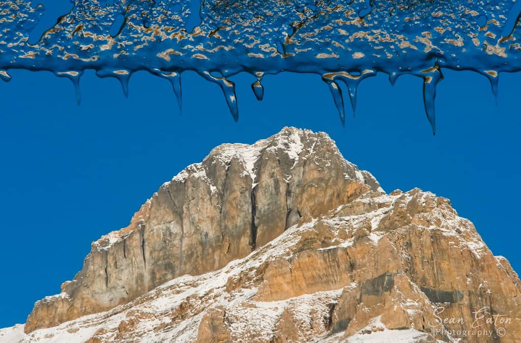 The Iconic Beehive Summit