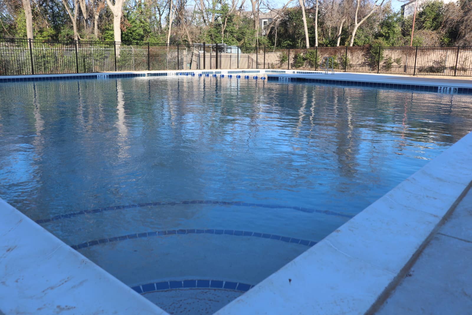 Refreshing Dips