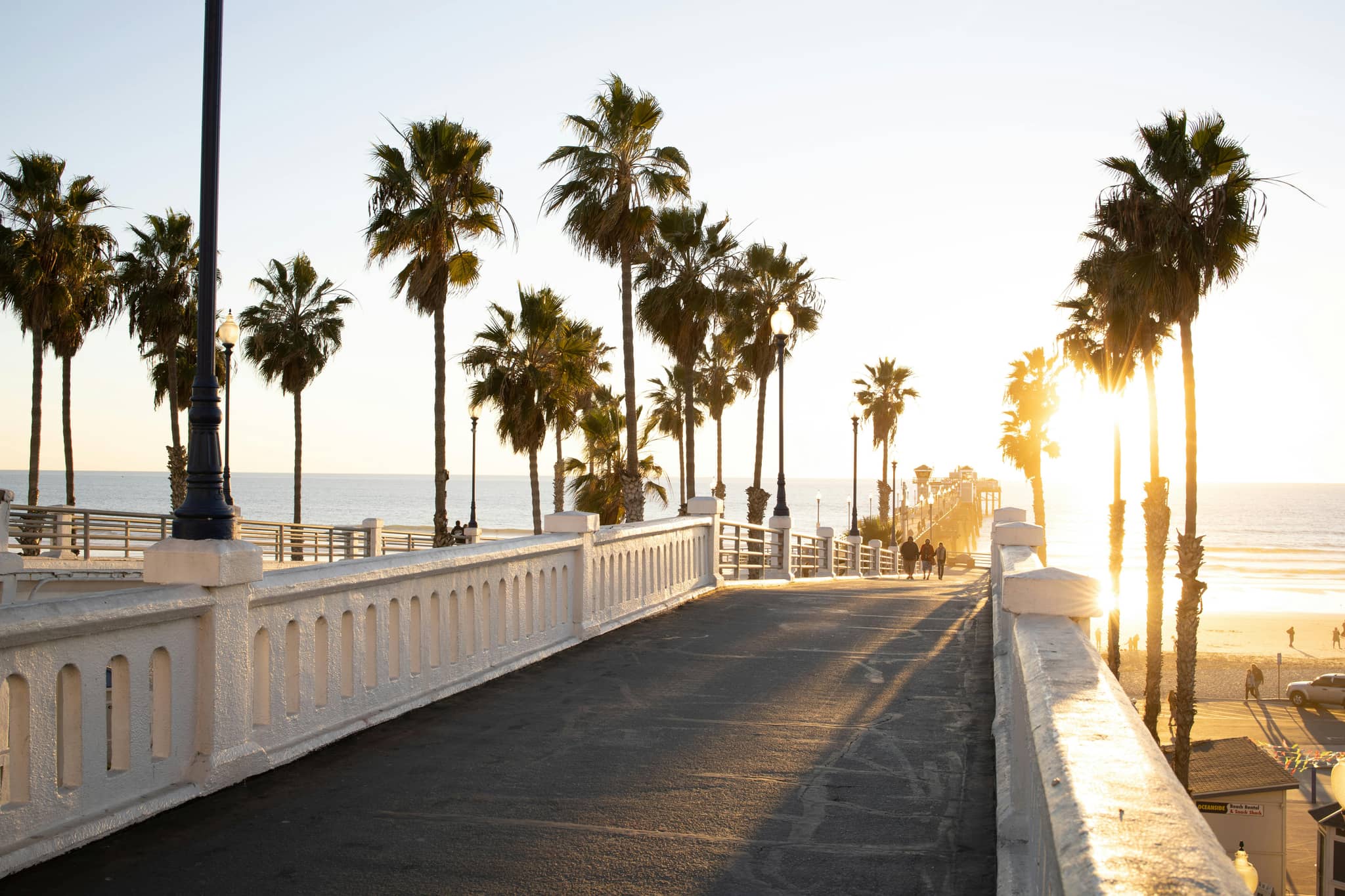 Oceanfront Views & Relaxation