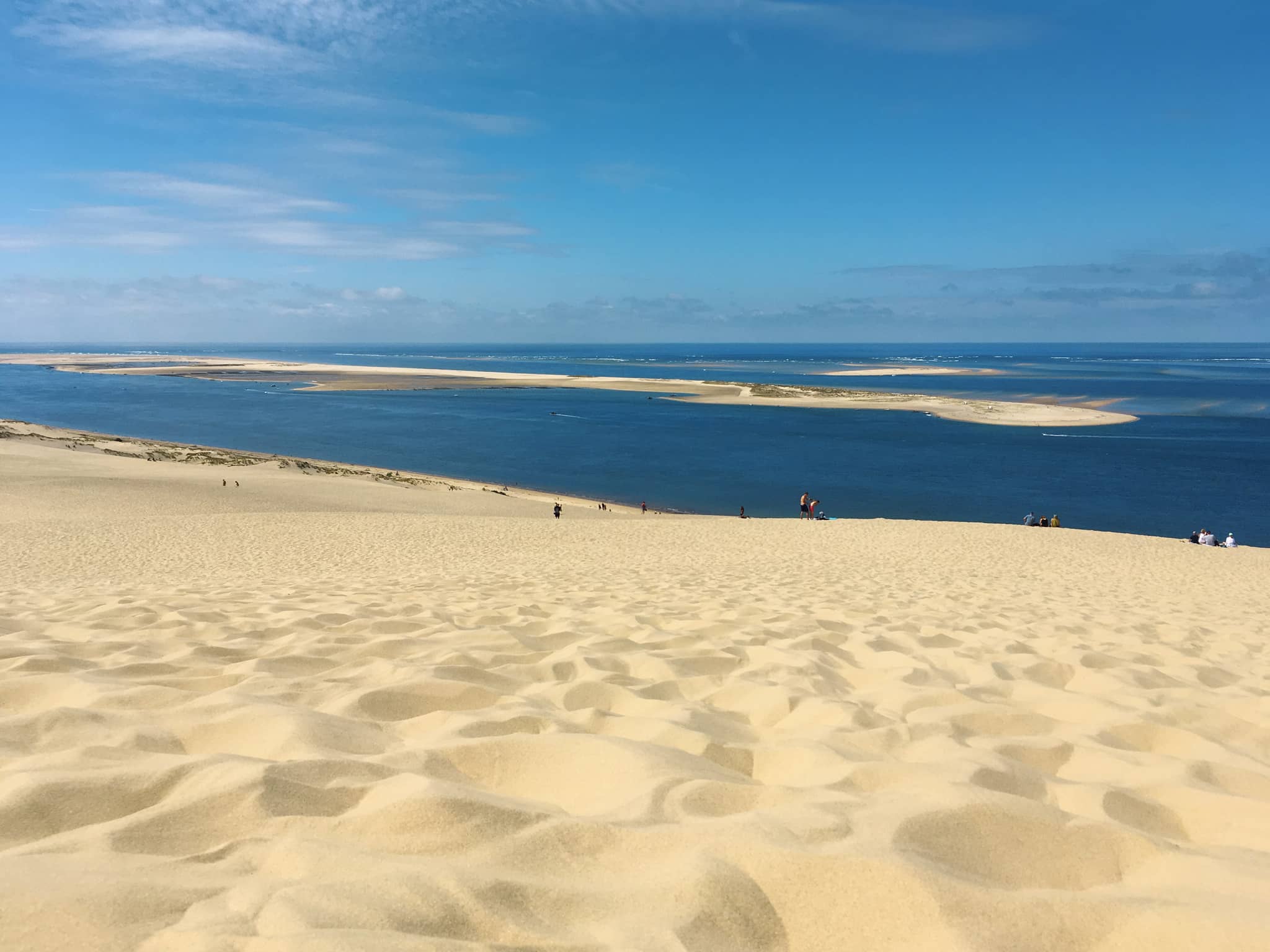 Banc d'Arguin