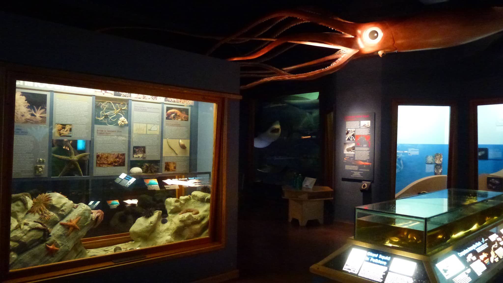 Maritime Museum