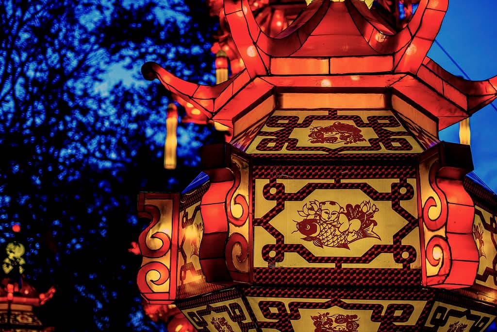 Lantern Festival Magic