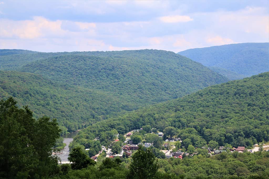 The Grounds and Gardens