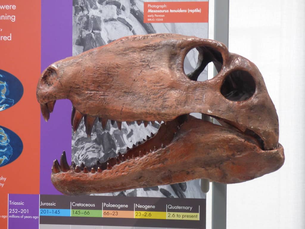 Interactive Earth Science Displays