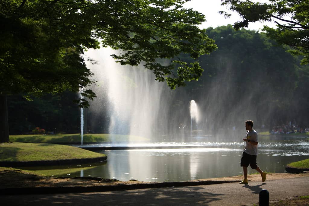 Green Oasis for Runners