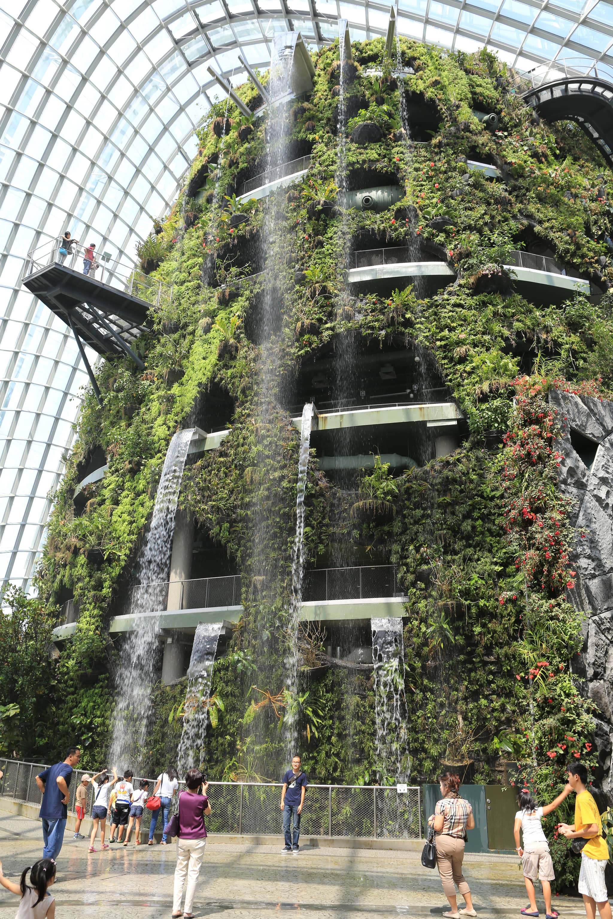Cloud Forest