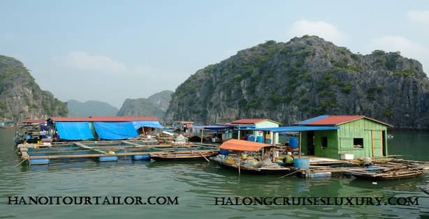 Ha Long Bay Heritage Marathon Route