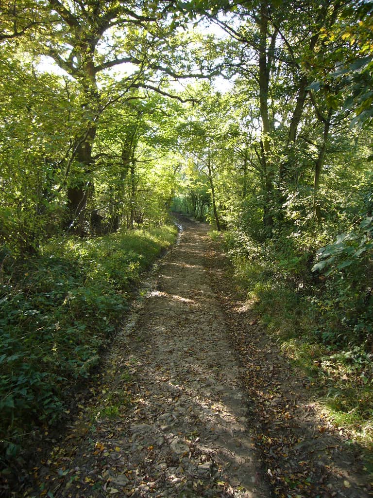 The Cotswold Way Trail